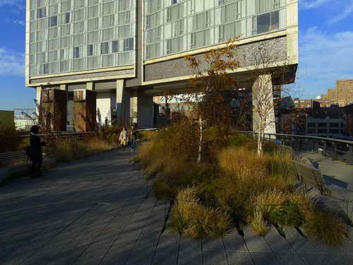 NYC_2012-11-21 15-09-17_P1070435